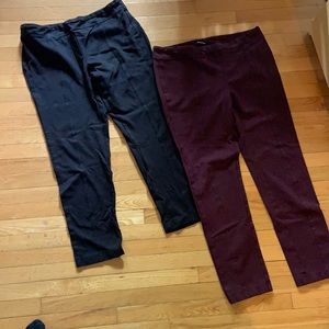 Dalia straight leg stretch pants (2for1)